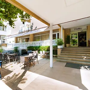 3* Отель Mantovani Murano & Mariu