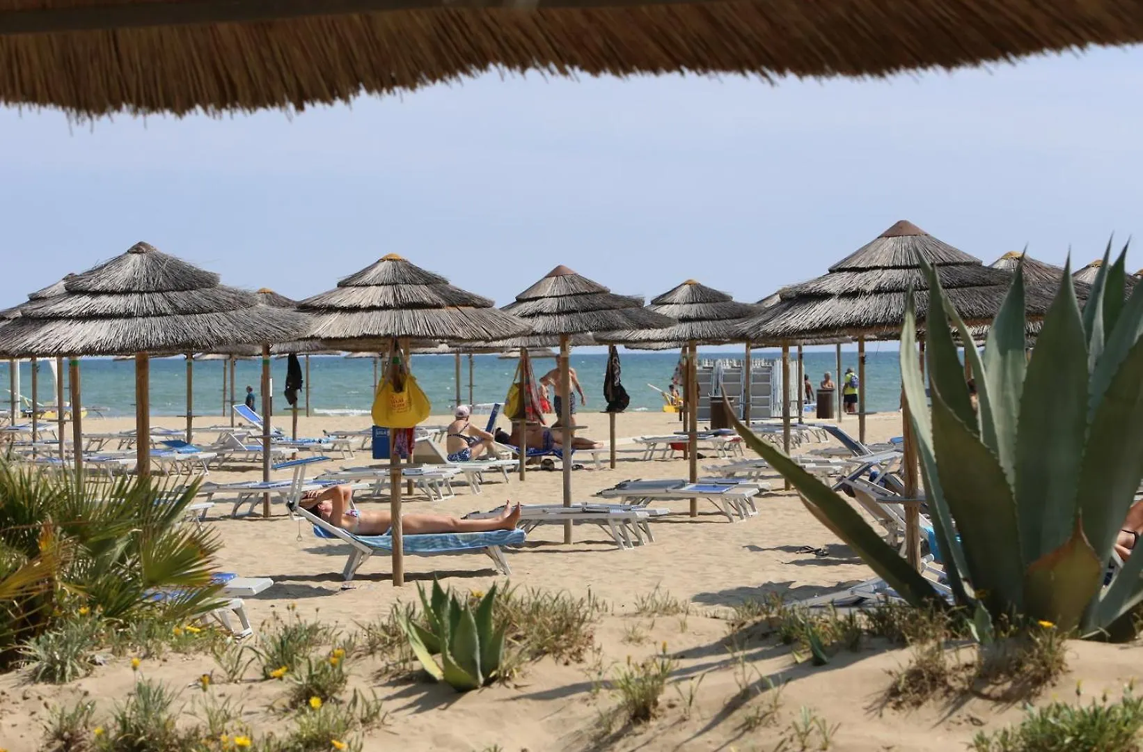 Hotel Leoni Rimini